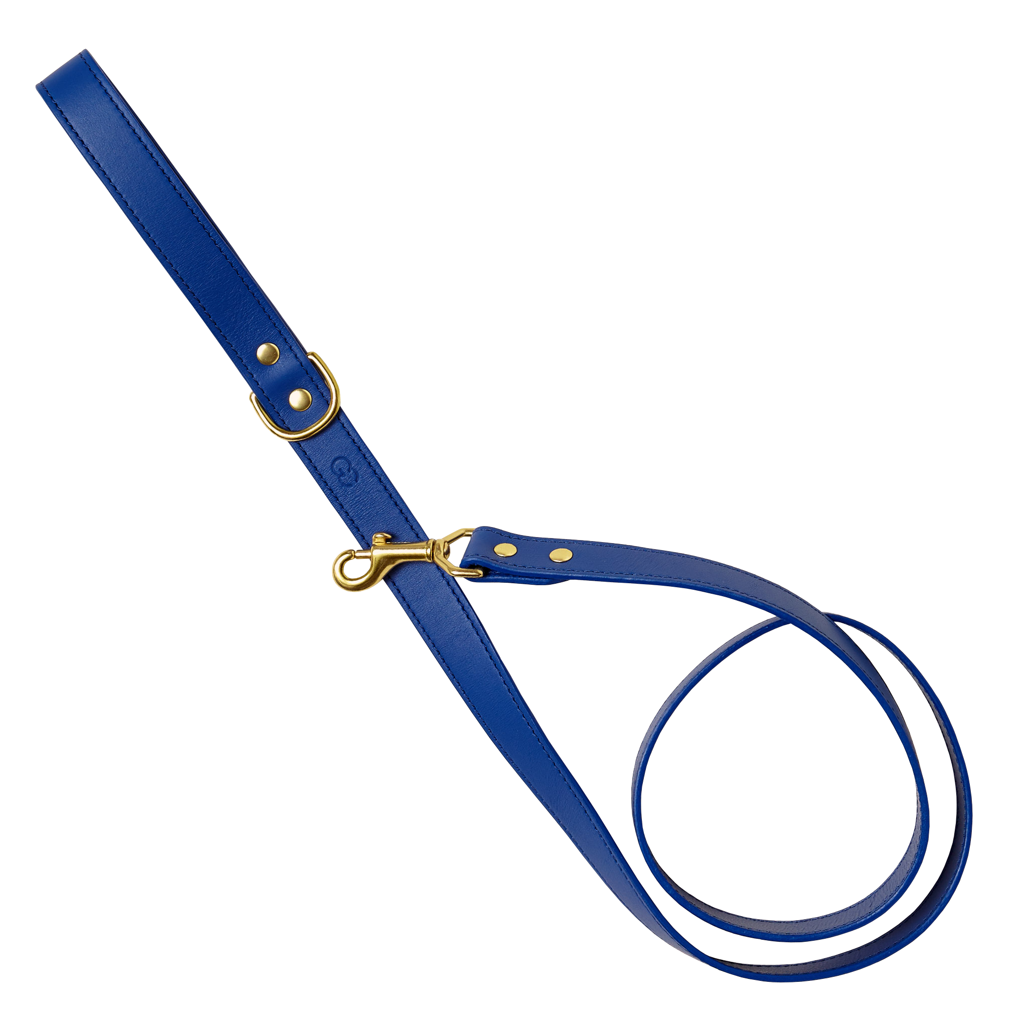 silicone leash dog