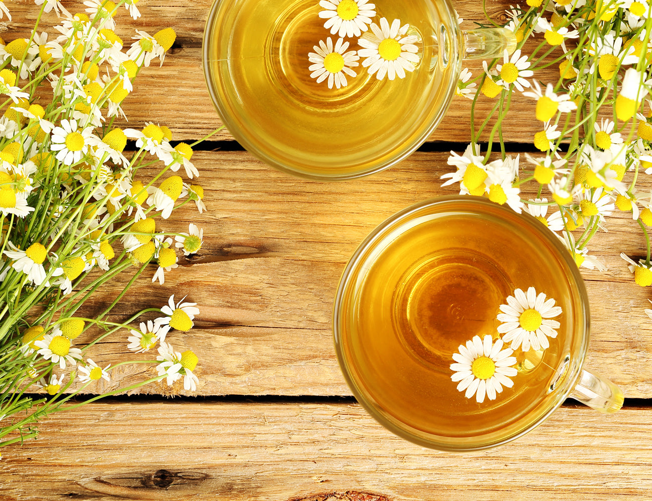 Camomile Teas by Twinings Twinings UK