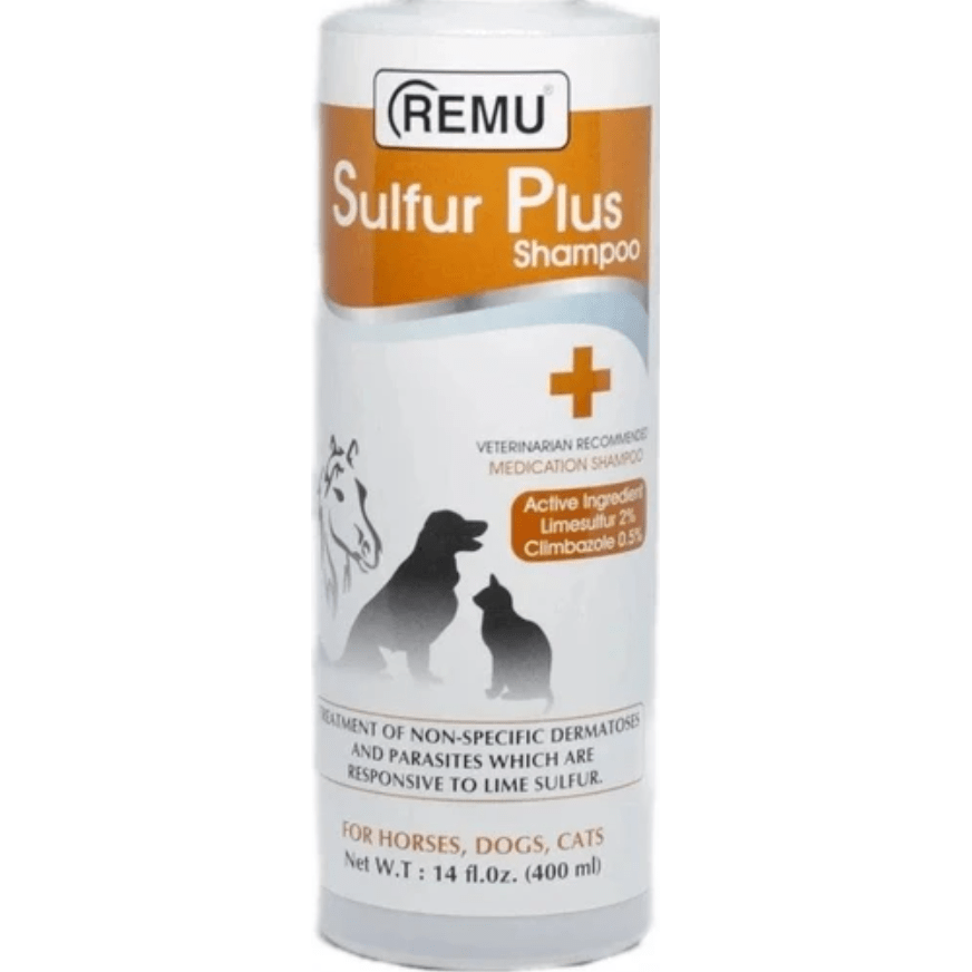 what is the best antifungal shampoo for dogs