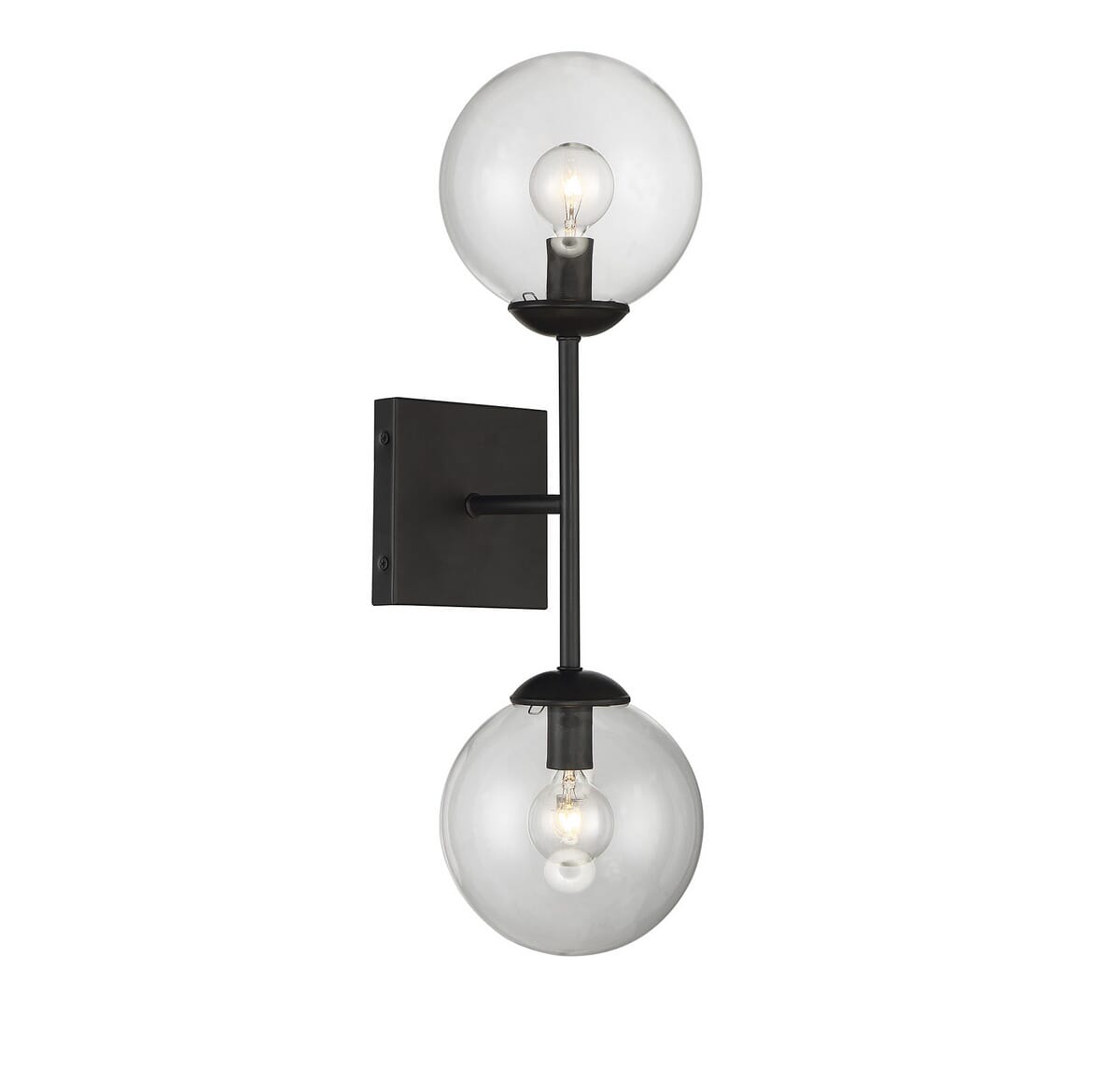 Meridian 2 Light Sconce - Clear and Black