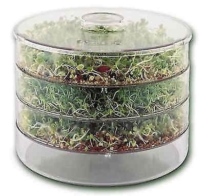 Kitchen Sprouter / Germinator - Sprouts / MicroGreeens - AusPots Permaculture