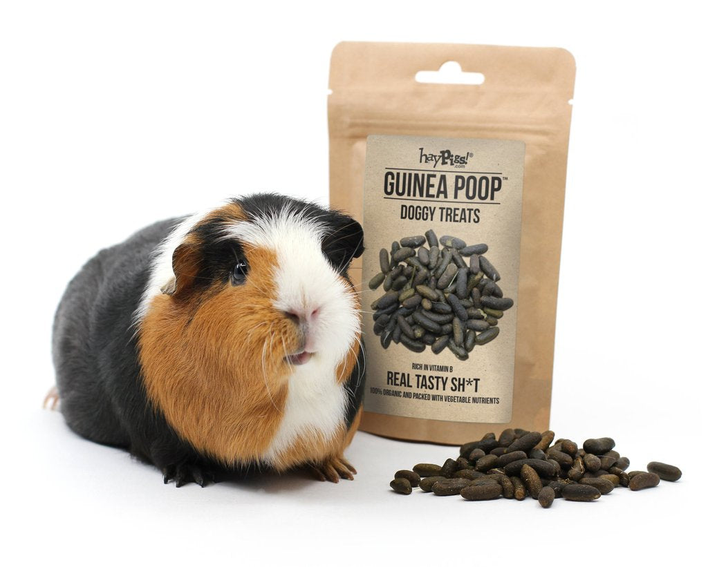 do guinea pigs like dog treats