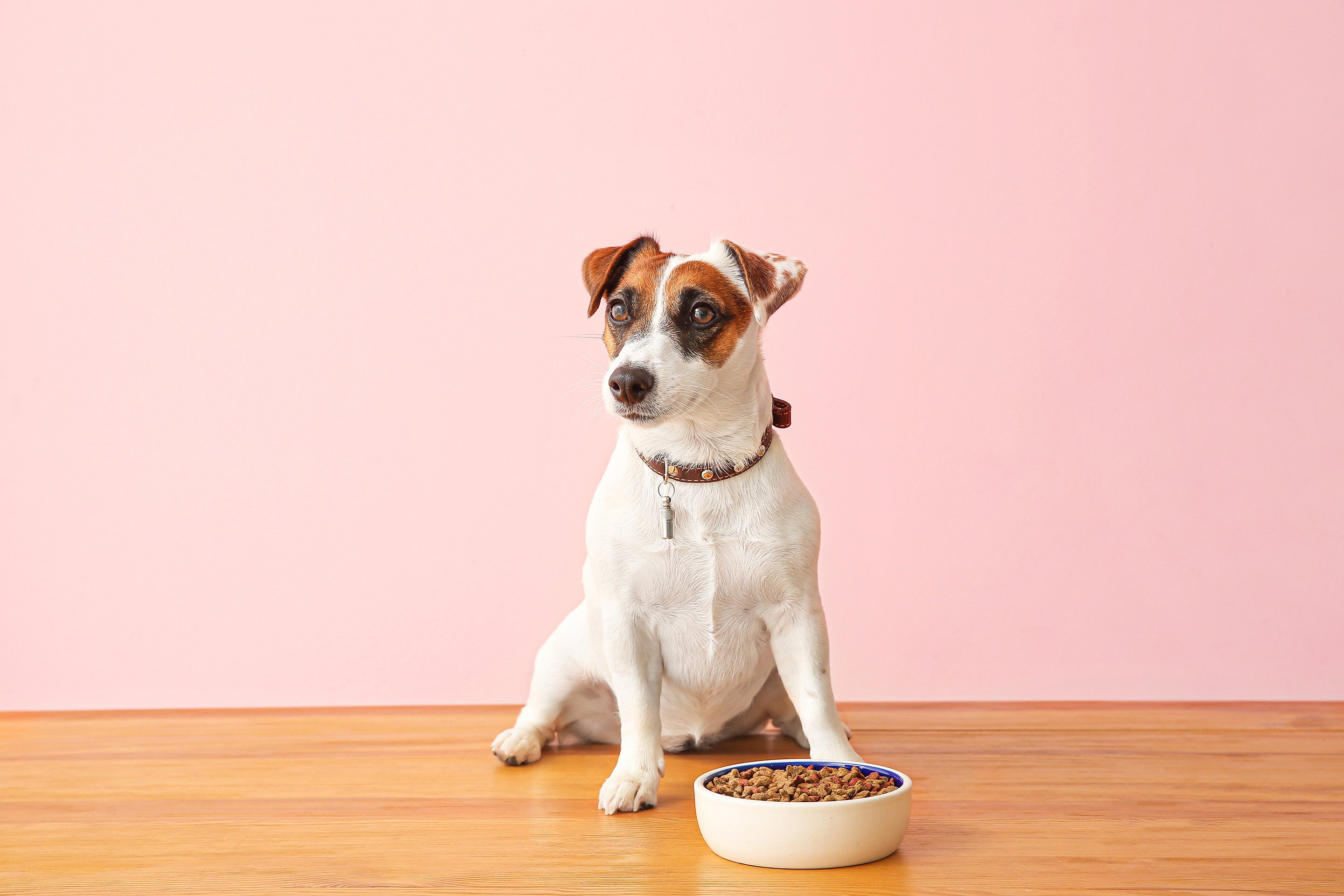 can a change in dog food cause diarrhea