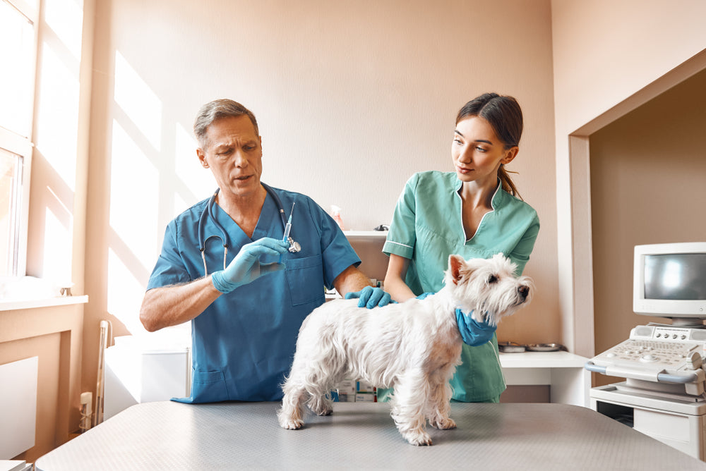 what vaccines are legally required for dogs