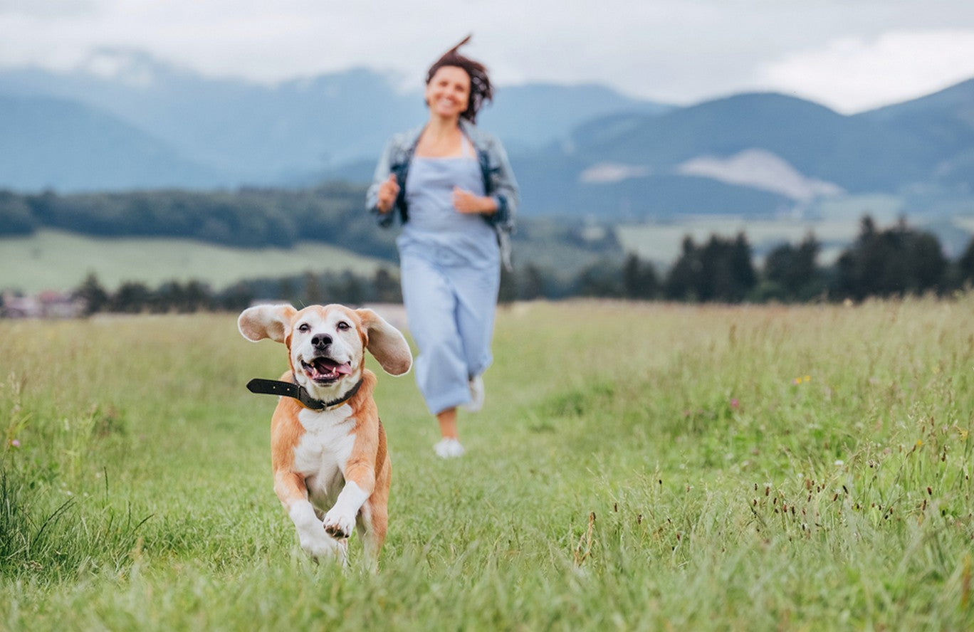 are there health benefits to owning a dog