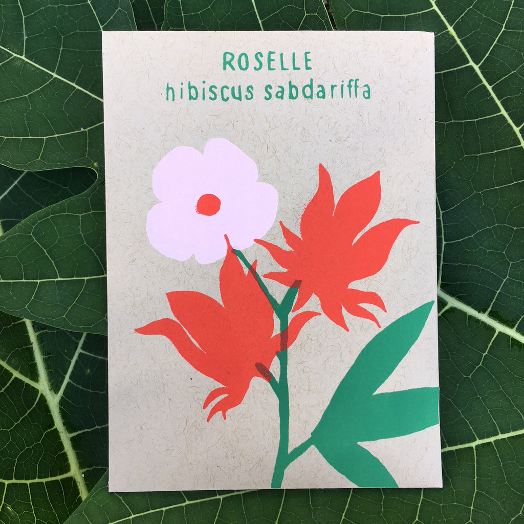 Details about   Hibiscus Sabdariffa Roselle Seeds ** ORIGINAL ** Flower Bonsai Plant 50 Seeds 