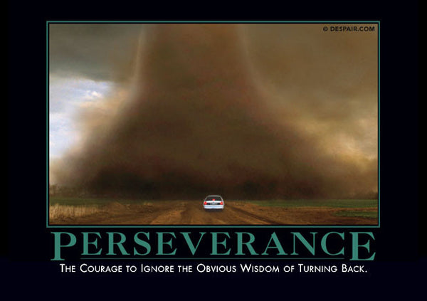 Perseverance