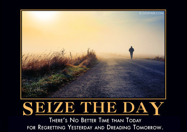 Seize the Day - Despair, Inc.