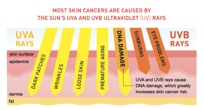 UVA and UVB rays explained