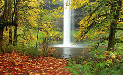 Silver Falls State Park Oregon in fall