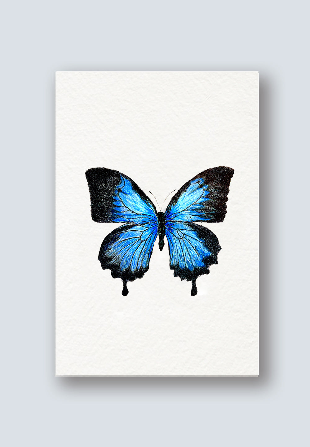 birthday card with butterfly that flies out