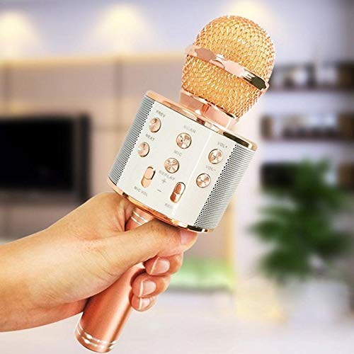 FSLLOVE FANGSHUILIN Funny Children Karaoke Microphone Gift For Kids Microphone Audio Microphone Karaoke Device (Color : Black)