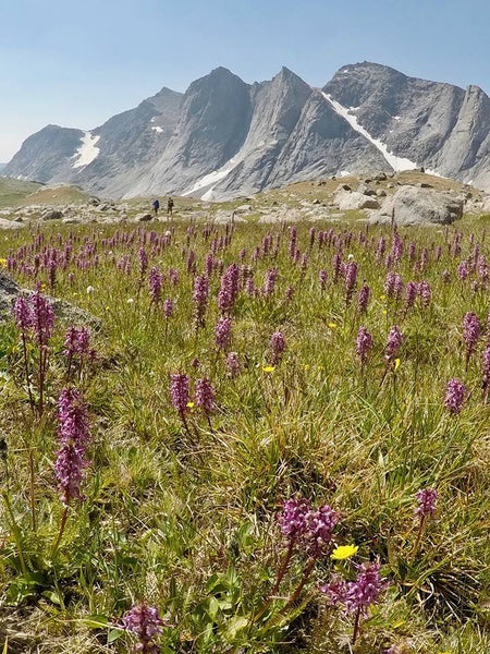 Wind River High Route - Copyright Garage Grown Gear