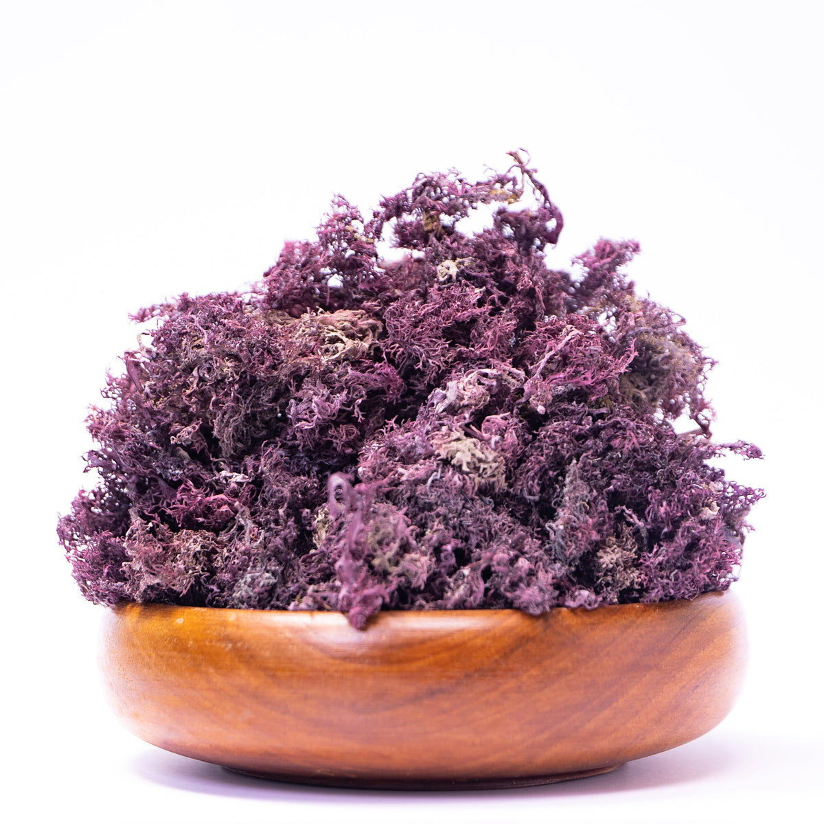 Jamaican Purple Sea Moss (Raw, Wildcrafted) Iset by Nature