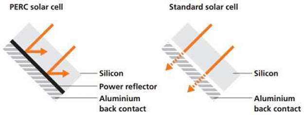 Cross-Section Comparison PERC solar cell and standard solar cell