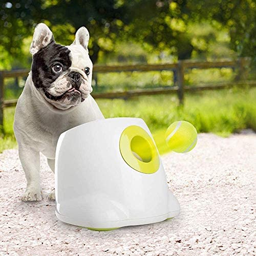 automatic toy thrower dogs