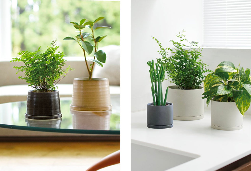 Kinto Plant Pots