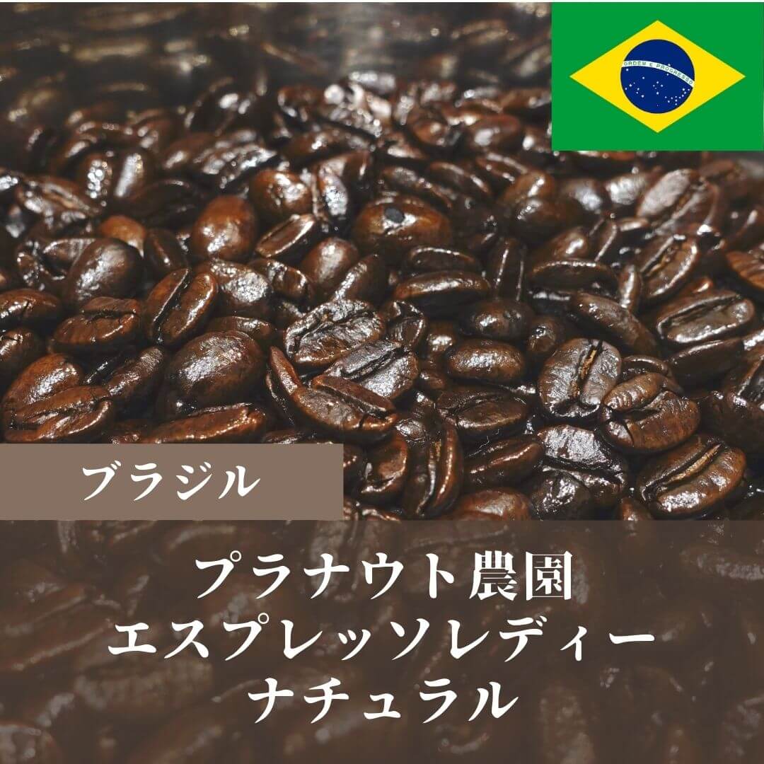 正規代理店 自家焙煎 コーヒー豆 ブラジル プラナウト農園