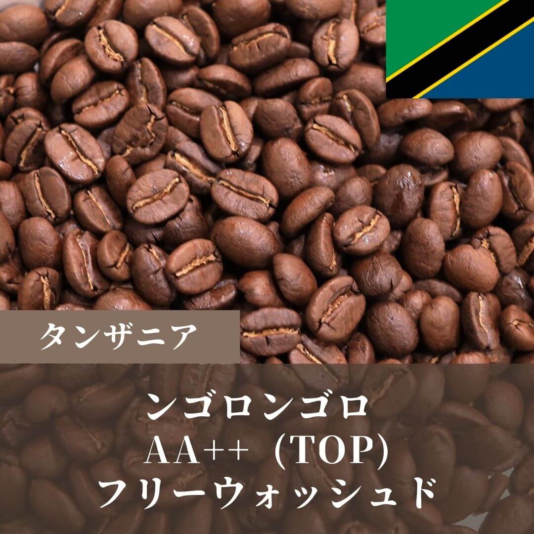 コーヒー豆 タンザニアンゴロンゴロaa++ 100g