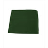 Avental Curto Reinal-Verde Floresta 04-Unico-RAG-Tailors-Fardas-e-Uniformes-Vestuario-Pro
