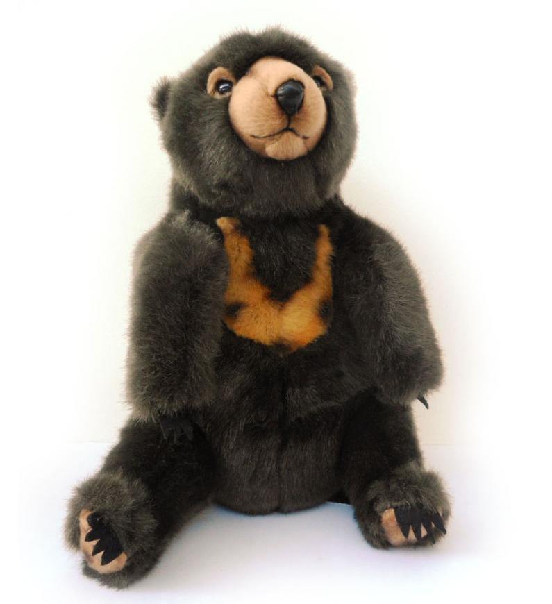 sun bear plush toy