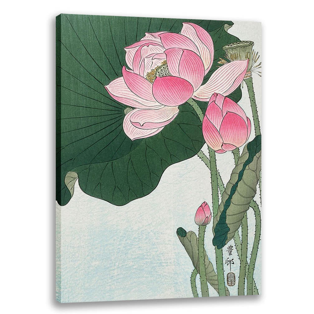 Blooming lotus flowers 13562 | Buy Flower Painting | Floral Art ...