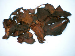 photo of fo ti-chinese herb-sexual aphrodisiac-www.rdalchemy.com