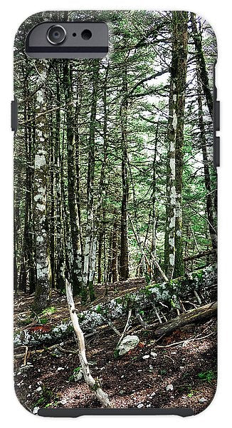 Trees In The Forest - Phone Case