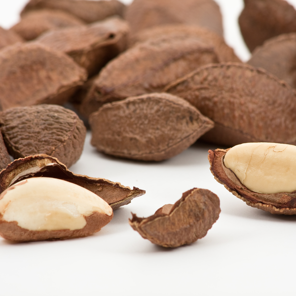 http://cdn.shopify.com/s/files/1/0543/4269/products/raw-organic-brazil-nuts-canada-buy.png?v=1408735840