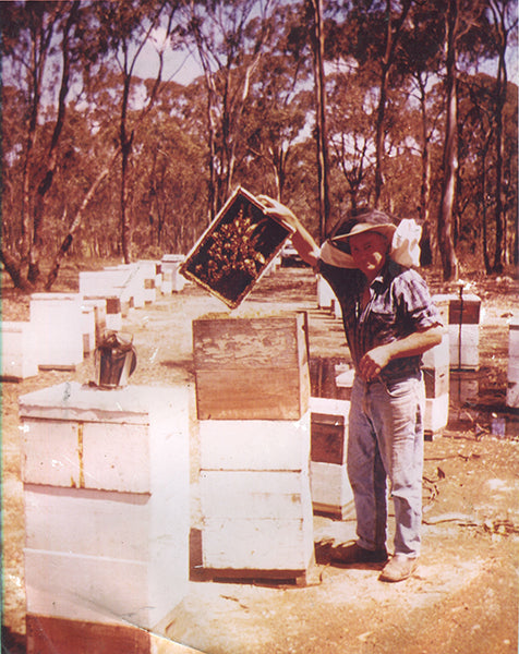 Brian working his beehives