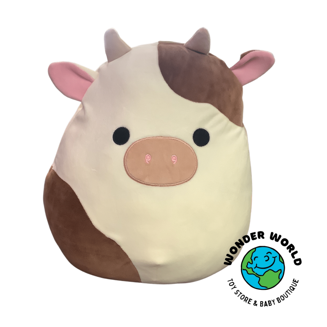 squishmallow ronnie 12