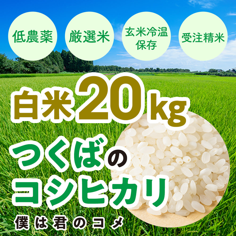 【兵庫県産　玄米】20キロ　キヌヒカリ　農家直送