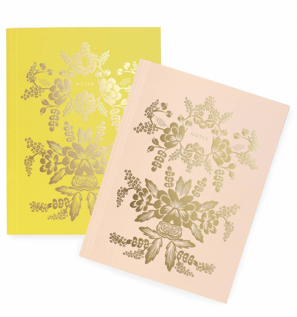 Pair of 2 Rorschach Notebooks