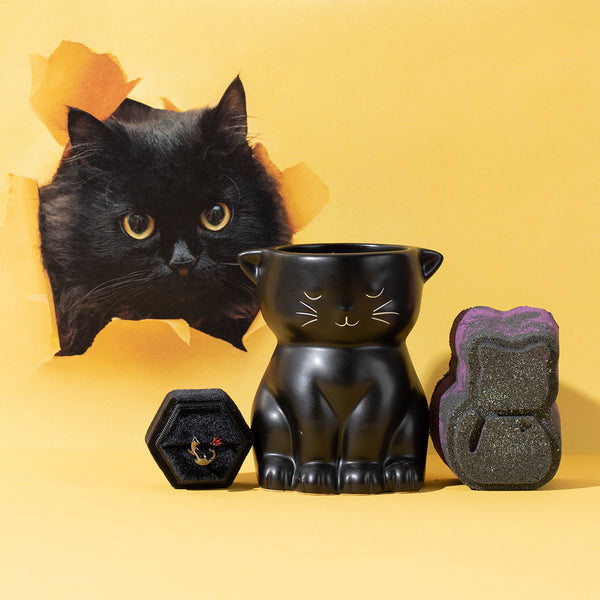 Midnight - Furry Friends Collection - Candle and Bath Bomb Set