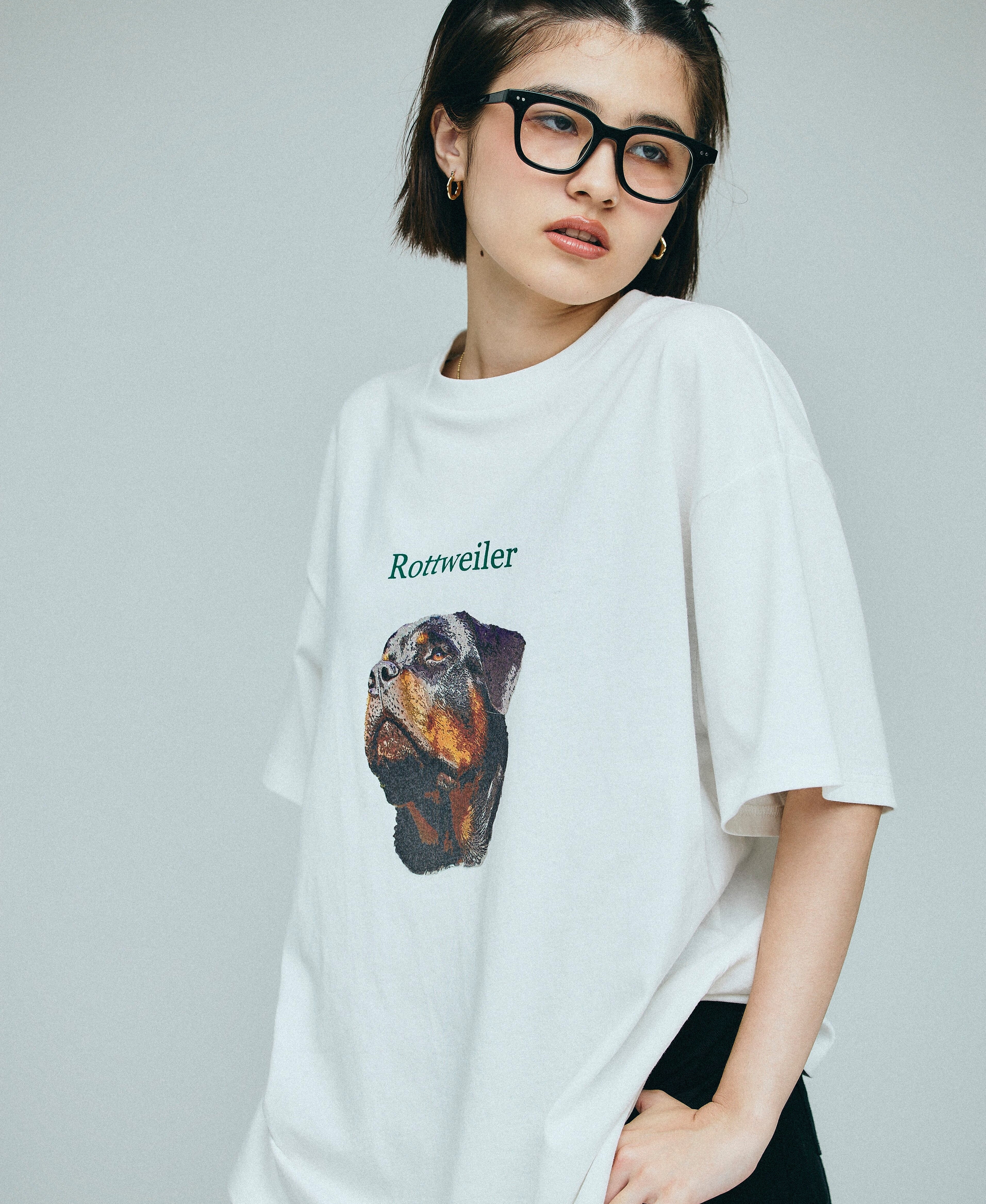 にコメント Alexander wang メッシュロゴTシャツ シースルー ブランド