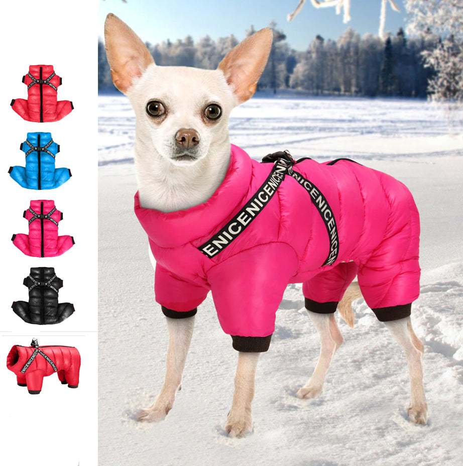 winter jacket for chihuahua