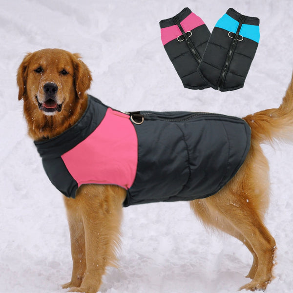 Chaqueta Impermeable Para Mascotas - WarmyDog®