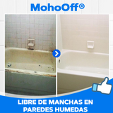 Spray Removedor de Moho - MohoOff®