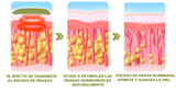 PARCHES REDUCTORES DE CELULITIS