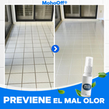 Spray Removedor de Moho - MohoOff®