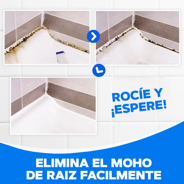 Spray Removedor de Moho - MohoOff®