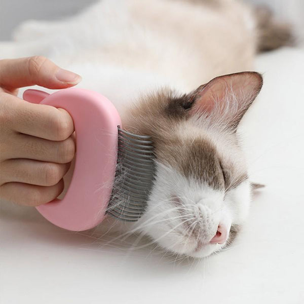 Leos paw Cat Hair Removal Massaging Shell Comb