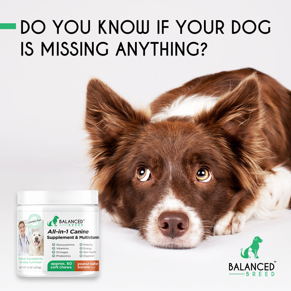 how many mg of glucosamine should i give my dog