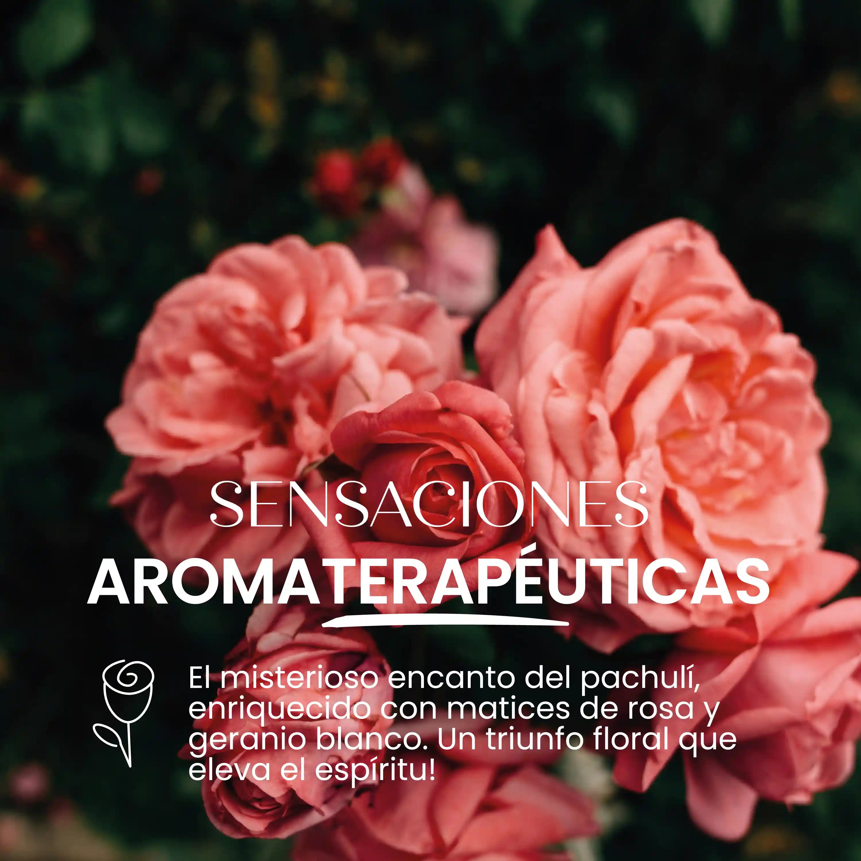 Rosa Profumata Essenza Solida Bio Armonia