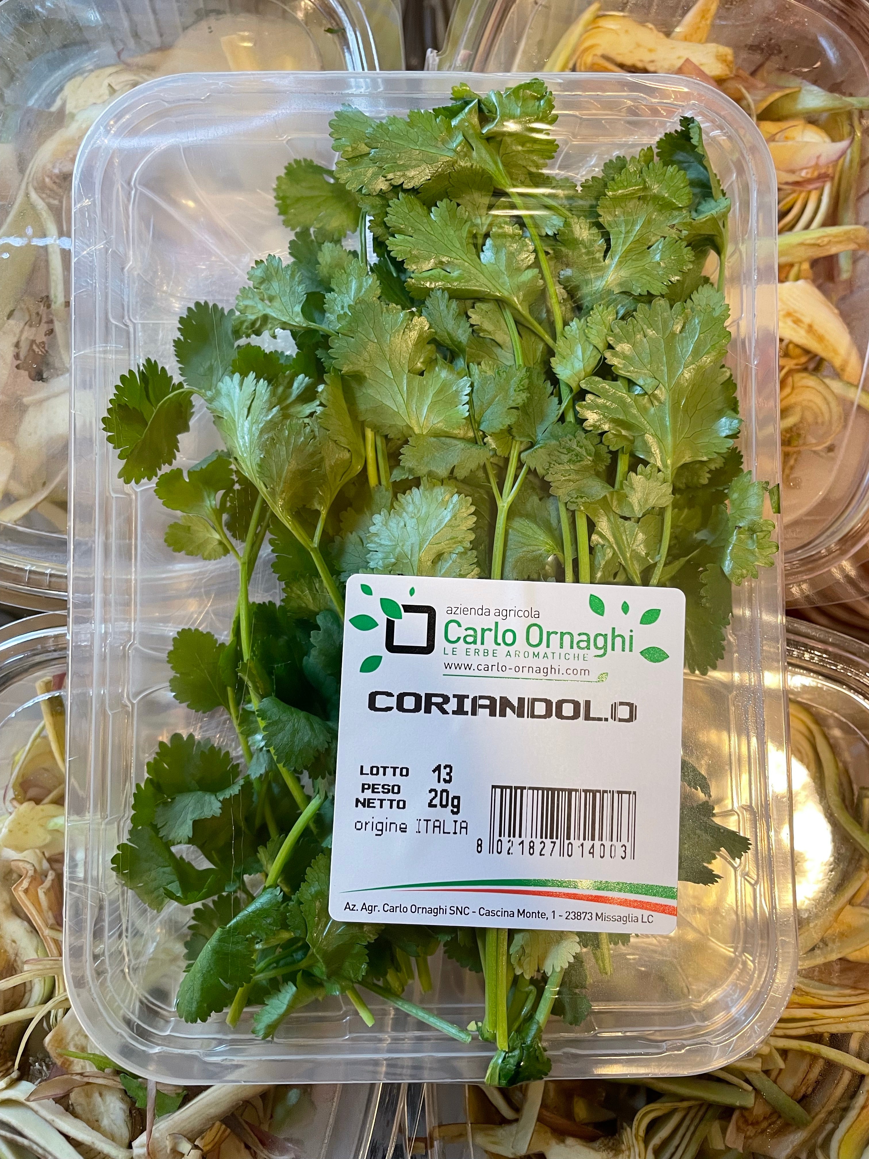 Coriandolo 1pz