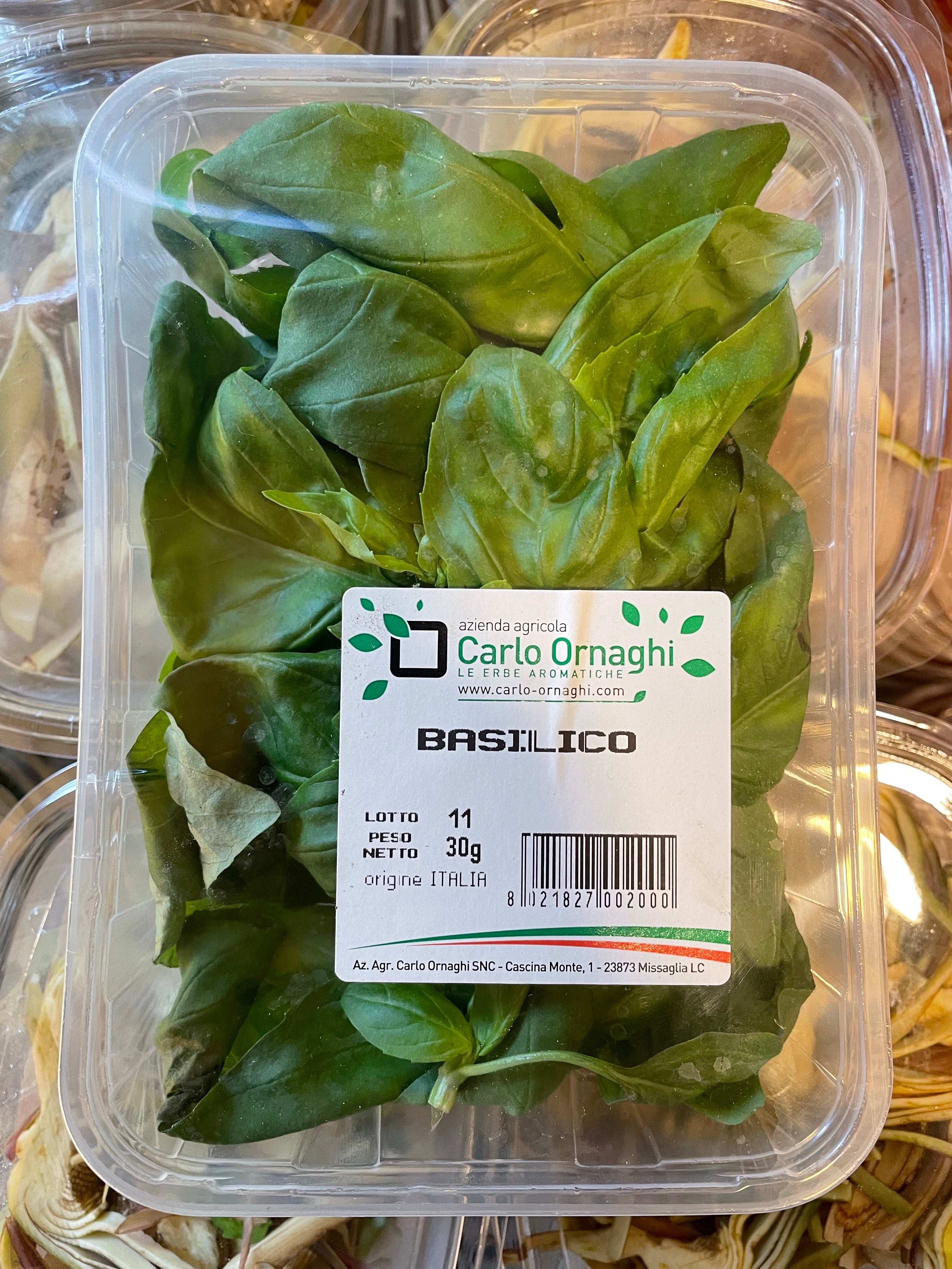 Basilico
