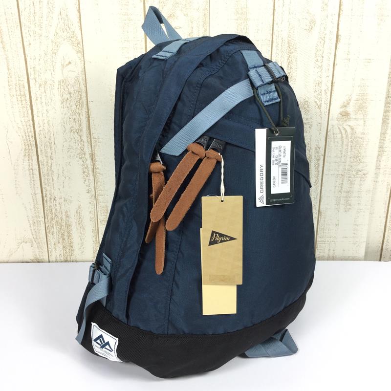 GREGORY Pilgrim Surf+Supply BEAMS DAYPACK ビームス グレゴリー