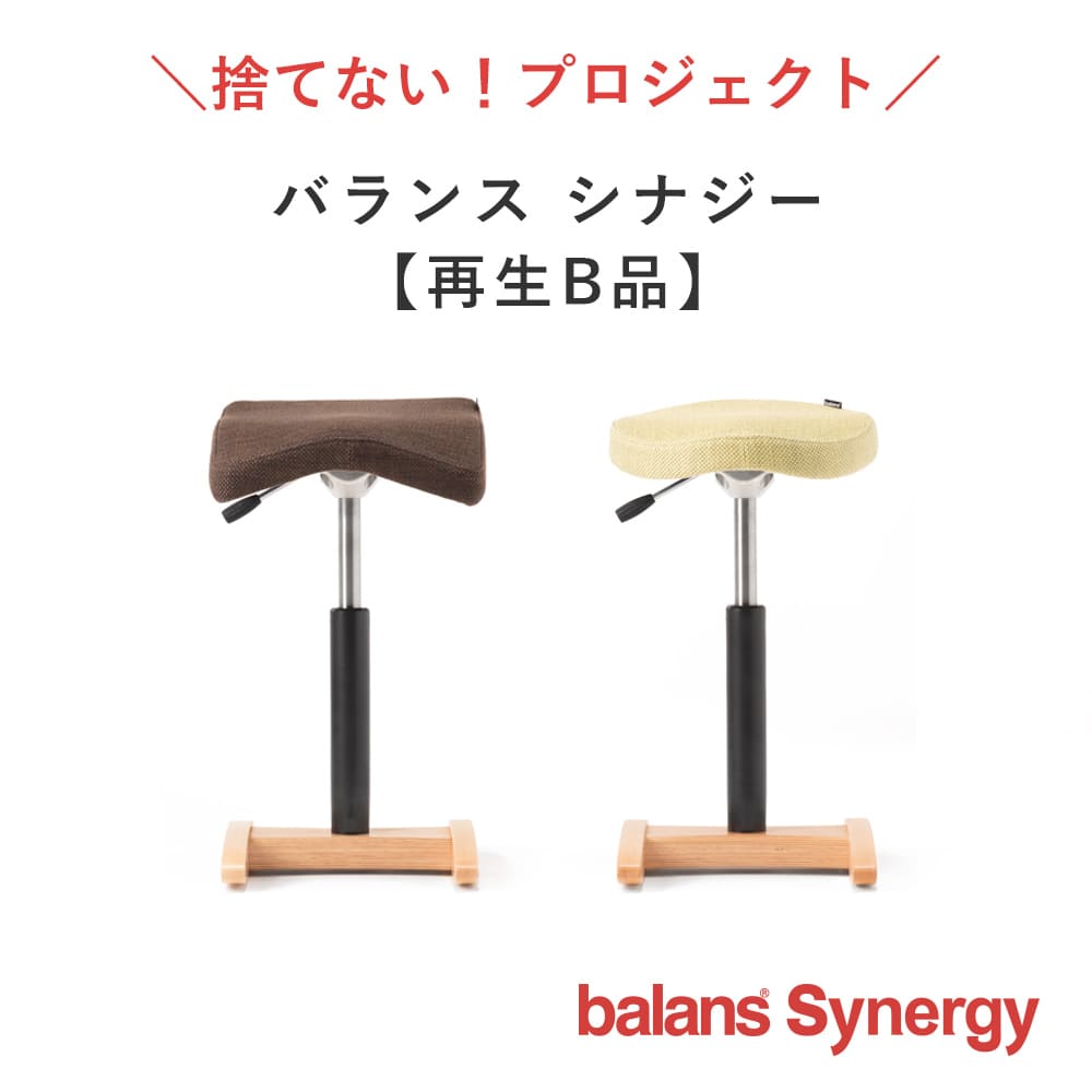 balans Synergy バランスシナジー オートリターン バランスチェア eva