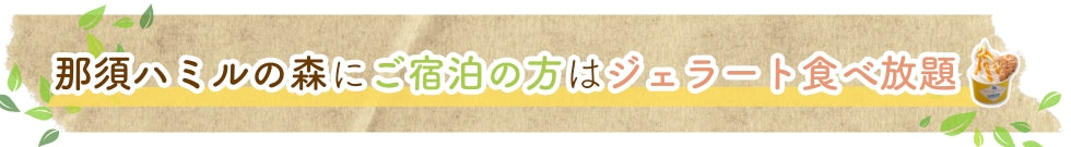 那須ハミルの森にご宿泊の方はジェラート食べ放題