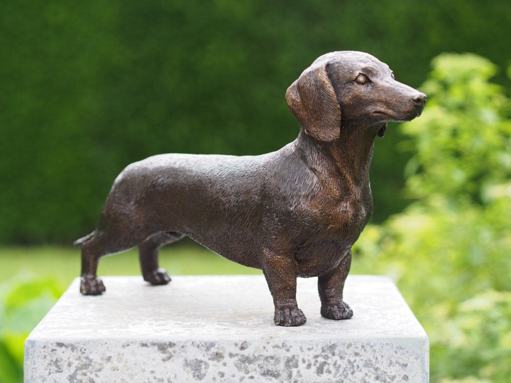 louter Soedan Nieuwheid Brons Hond - Teckel - Sculptuur - Interieur - Kantoor - Tuindecoratie –  esculturas em bronze